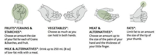 Food Portions Using the Hand Method: Just the Basics, Canadian Diabetes Association 2013