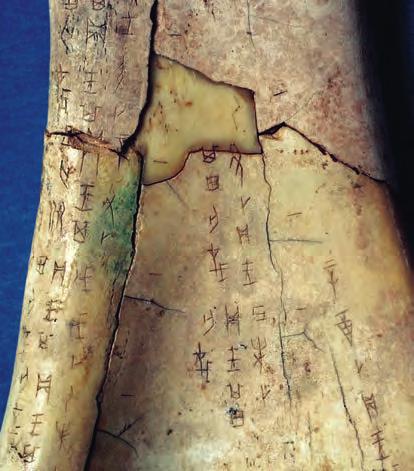 <Insert 1015 photo> The Zhou Dynasty (c. 1122 256 bce) Source 9.8 A cracked oracle bone discovered in the ruins at Anyang, China.