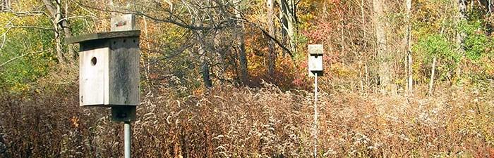 The George Buzzell Scholarship Fund was established in 2013 in honor of the late Orleans County Forester of 44 years. Why should I install a birdhouse?