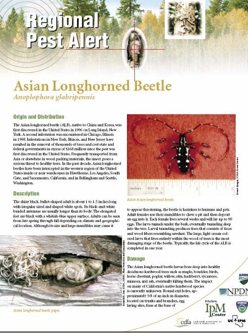 Info / Resources USDA Pest Alerts Asian Longhorned Beetle http://www.wripmc.