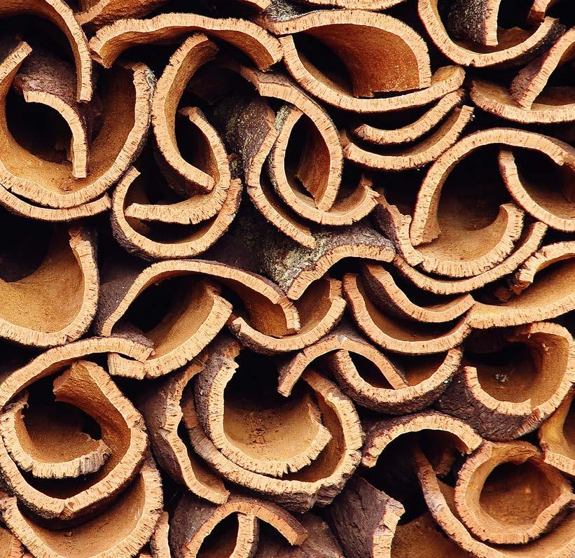 Cork is used to produce a variety of products including (most notably) wine stoppers, architectural products, aerospace and transportation components, consumer goods, construction products, as well