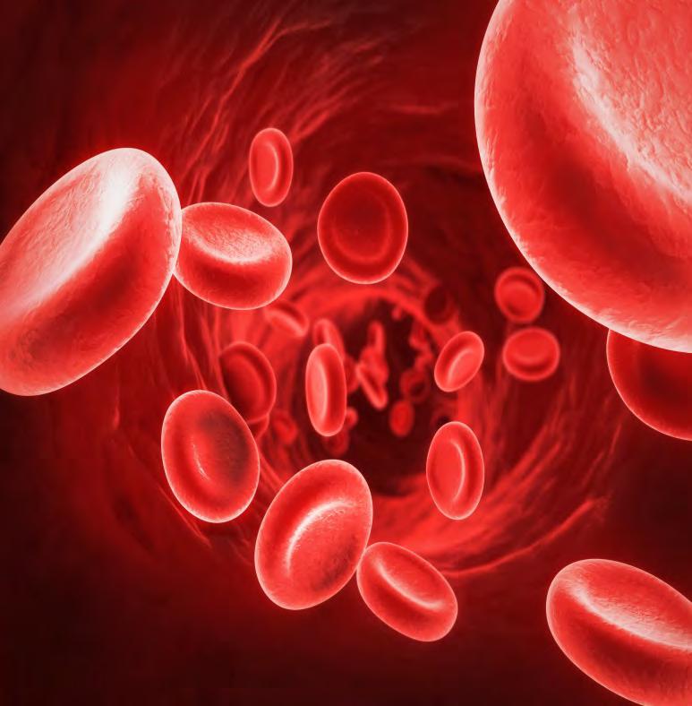 BLOOD RELATED Rose hips- blood pressure Rosebuds- blood circulation Pennyroyal- blood purifier Stinging nettle- internal bleeding/ blood pressure * Red clovers blood