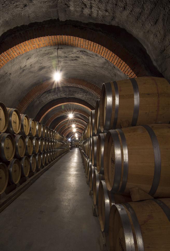 This winery has tunnels extending underneath Peñafiel Castle and they are full of barrels of wine, slowly aging.