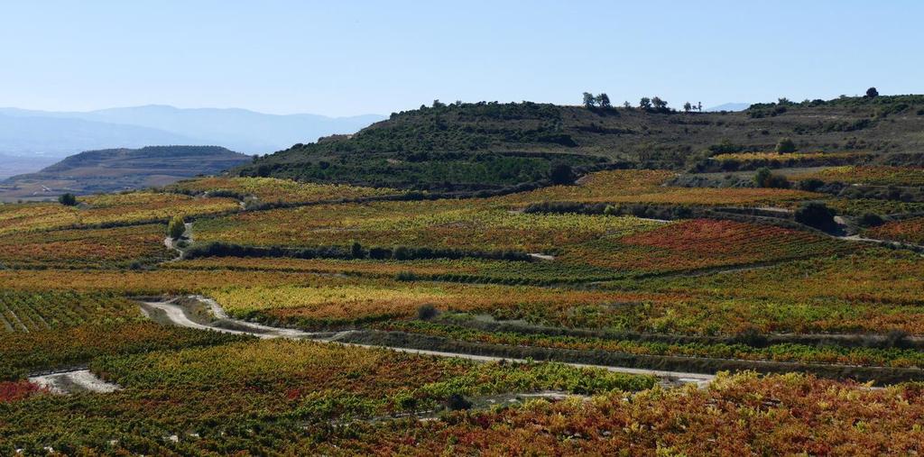 September 9 Wine and Landscapes in Rioja Alta Let s go out early and walk among the vineyards surrounding the walled town of Laguardia this morning and photograph the town with a vineyard foreground