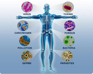 Dysbiosis is a condition of imbalanced intestinal flora.