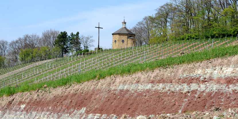 WINE-GROWING AREAS AND VINEYARDS Wine from the famous agricultural and vinicultural region of the Kraichgau is perceived not only as wine from Baden but as a very special region, where nature has