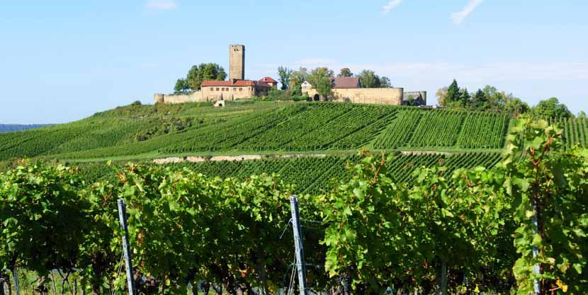 DICKER FRANZ HUSARENKAPPE LÖCHLE RABANUS CORVUS WINE-GROWING ESTATE BURG RAVENSBURG The prominent location on which the huge keep of Ravensburg castle sits and overlooks the vineyards below it s