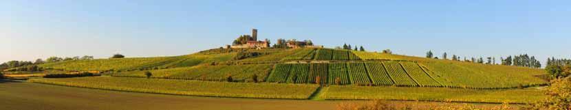 The legend says that his commander-in-chief, Margrave Karl-Friedrich of Baden, gave him Riesling seedlings as a present.
