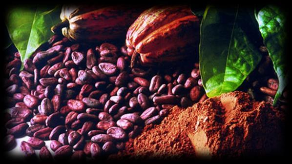 Realizing the potential of cocoa is linked to quality but What is quality?