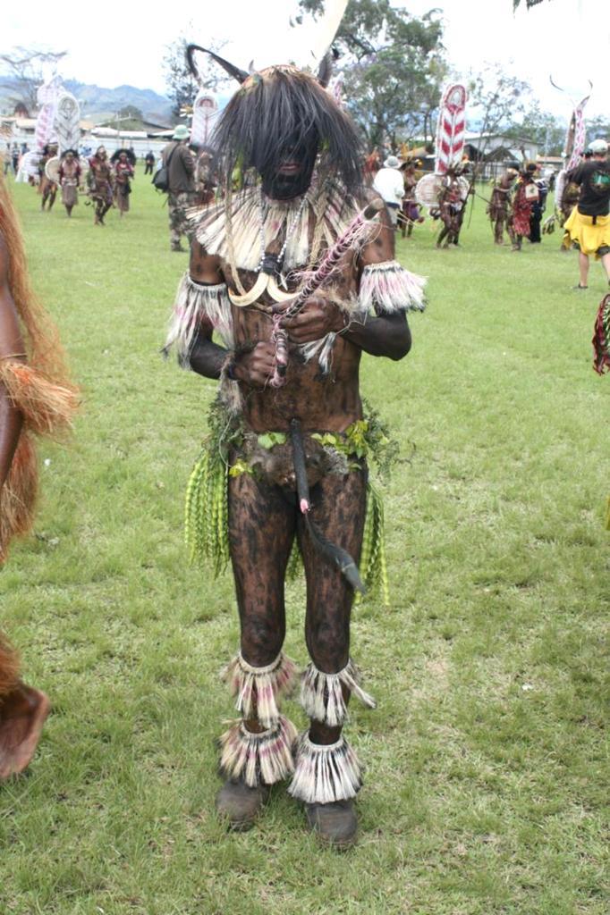 SAM et al.: ETHNOBOTANY OF PENIS SHEATHES IN PAPUA NEW GUINEA (7/9) Ceremonial penis sheath worn at Goroka cultural show 2012 by a man from Yonki Tarabia (close by Yonki Wara), Madang District.
