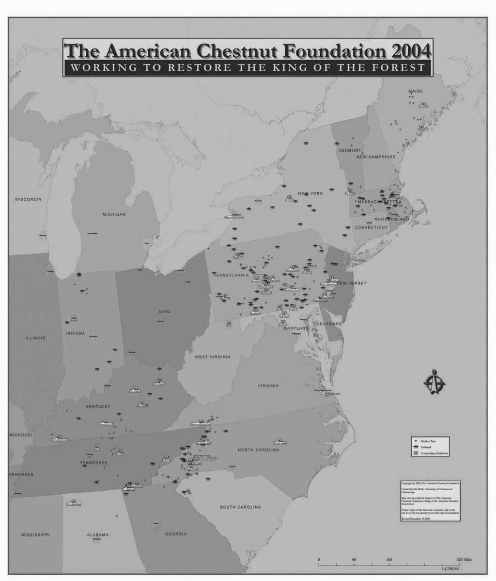 Outlook for Blight-Resistant American Chestnut Trees Sisco Figure 2. TACF s national effort as of 2004. Volunteers in 15 state chapters are using trees in their areas to obtain local adaptation.