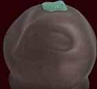 chocolate ganache dipped in dark chocolate 500g - 42 chocolates 1kg - 84