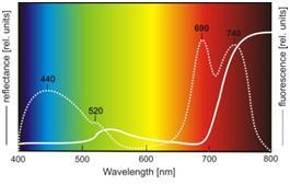 Figure 1 - Reflectance and Fluorescence spectrums for chlorophyll Reflectance signal represents the incoming irradiance not absorbed and thus not used by the photosynthesis in the sample.
