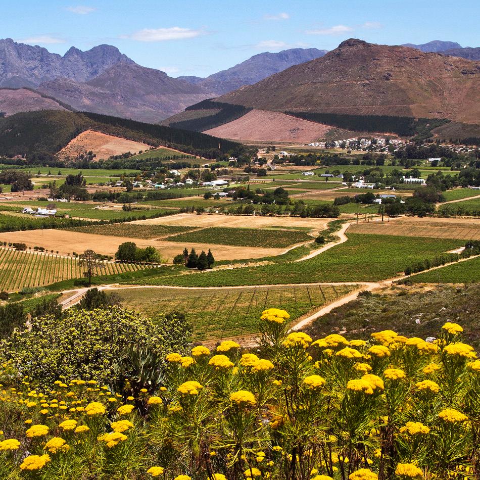 Good Practice Runner-up South African winner of the Great Wine Capitals (GWC) Best of Wine Tourism Awards Nedbank Green Wine Awards - Best Sustainable