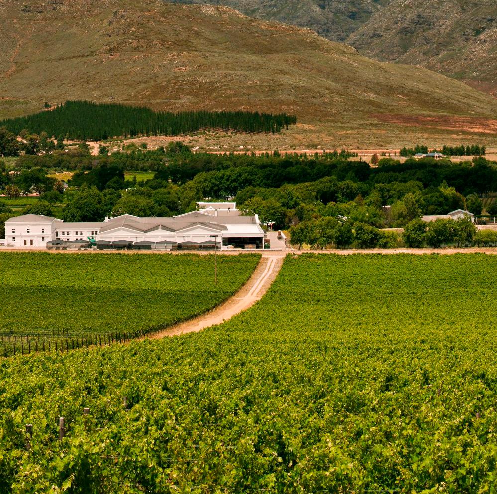 ACCOLADES Top Wine SA Awards - Cellar Classification: Consistently highly rated wine over the past 10 years ( - ) - Hall of Fame: Consistently highly-rated vintages for La Motte Pierneef