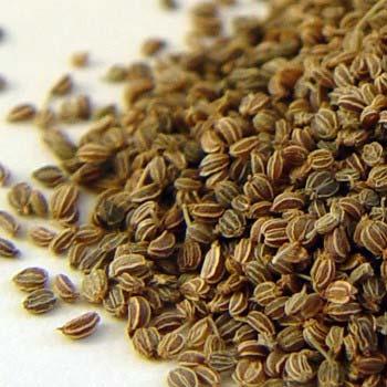 Celery Seed A seed of the celery plant used as seasoning Chili