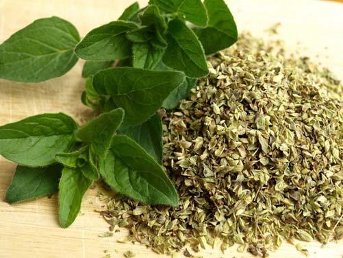 Oregano A perennial Eurasian herb of the mint family, having aromatic leaves.