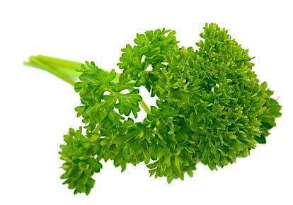 Pungent leaves used as seasoning with meats and fowl and in stews and soups and omelets.