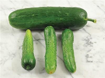 Cucumber, Hoffman s