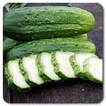 KSL) Cucumber,