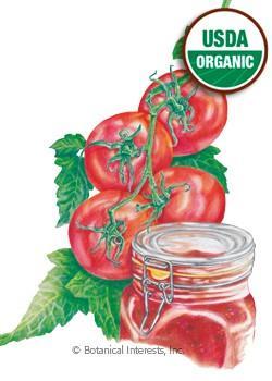 Tomatillo (E) Tomato,