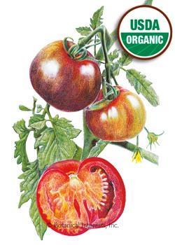 Tomato, Black Krim