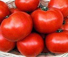 Delicious Tomato (E)