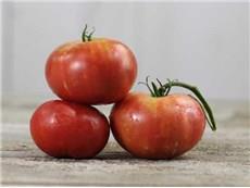 Paste Tomato (E)