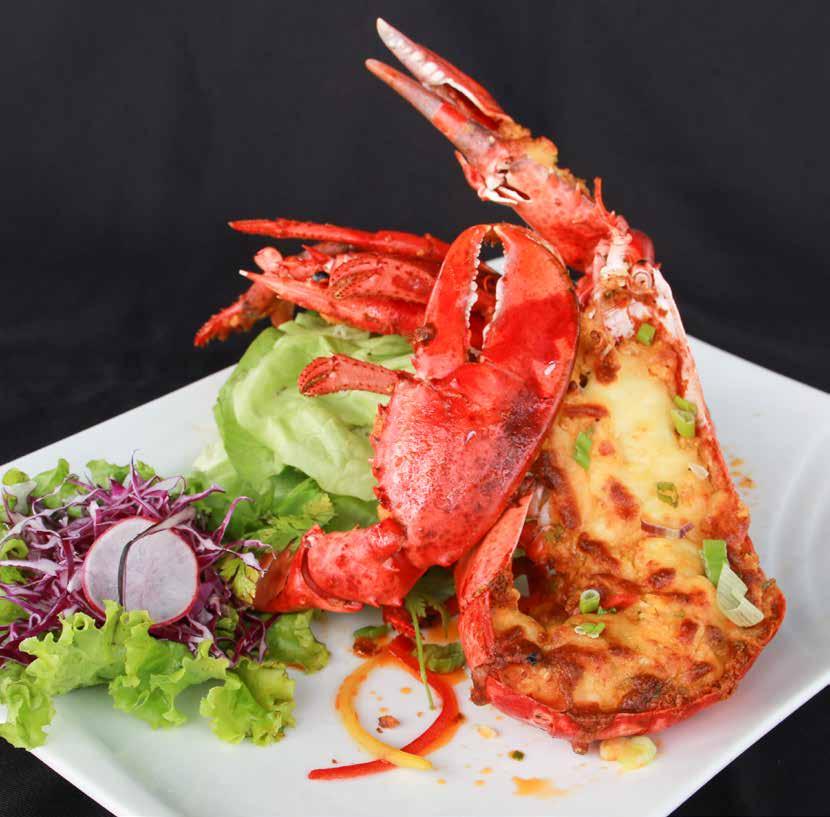 Wild Caught Atlantic Lobster Premium MSC certified hardshell fresh lobsters are caught from the prestine waters of Canada s North Atlantic.