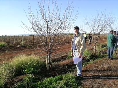 Pruning Minimal tree pruning was undertaken in the first five years after trial establishment.