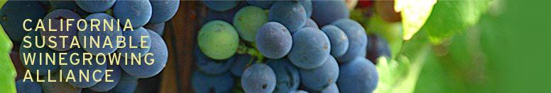 CA Wine s Climate Protection Initiatives: On-Farm Renewable Energy and Biofuels