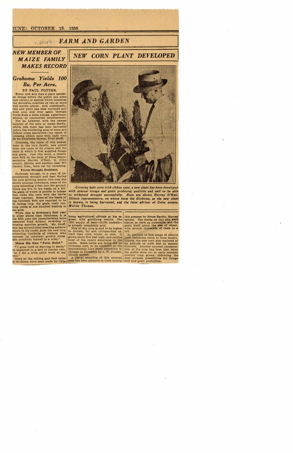 ' 3TJNE: OCTOBER 10. 1930. FARM AND GARDEN NEW MEMBER OF MAIZE FAMILY, MAKES RECORD NEW CORN PLANT DEVELOPED Grohoma Yields 100 Bu. Per Acre. BY PAUL POTTER.