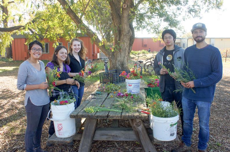 This program was created and initiated by the resident garden student coordinator. This provided students of all experience levels with access to seeds, transplants, tools, fertilizer, and mentorship.
