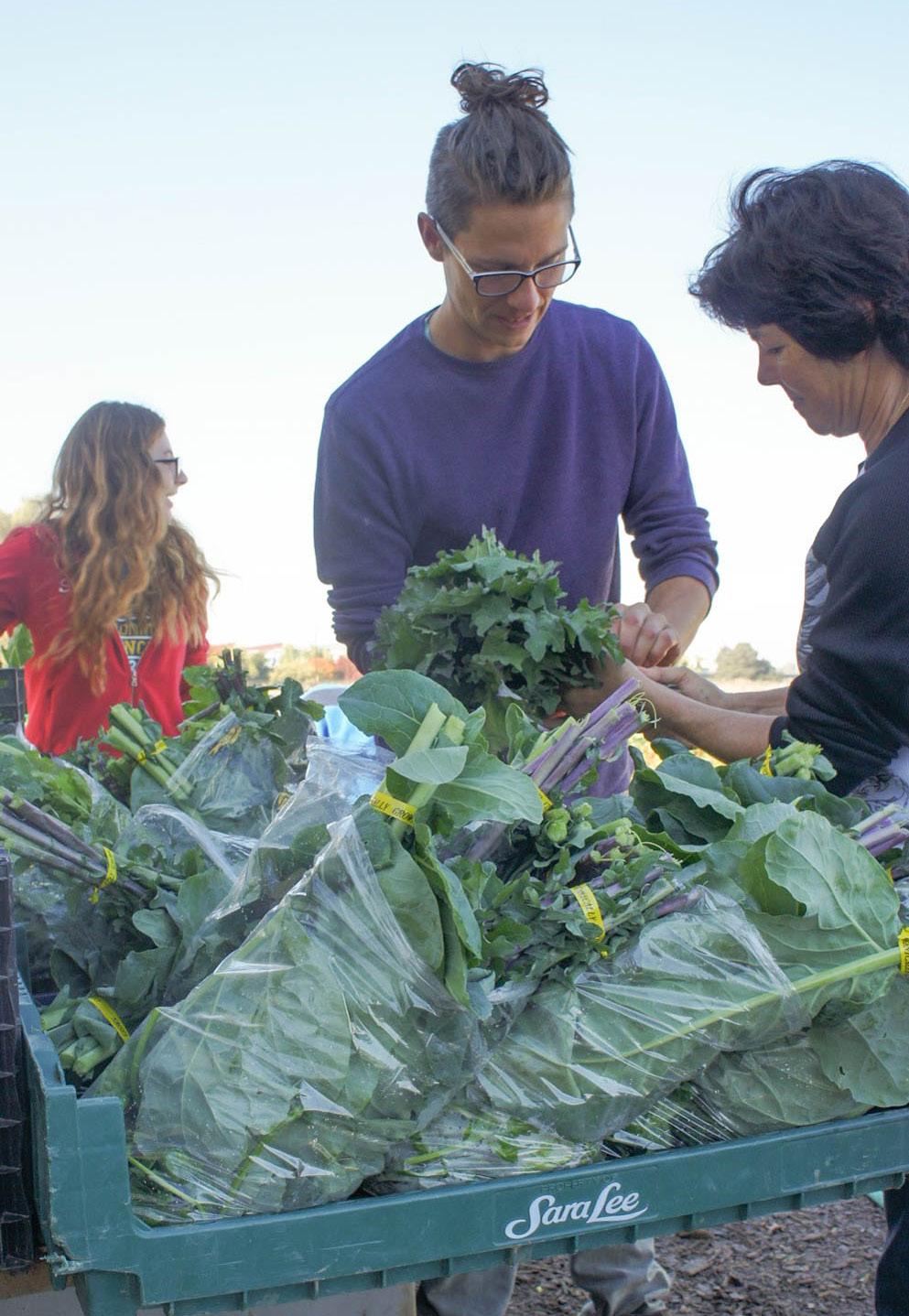 edu UC Davis Student Farm Purchases from the on-campus, organic UC Davis Student Farm Market Garden have nearly tripled since a stronger relationship between the students at the farm and UC Davis