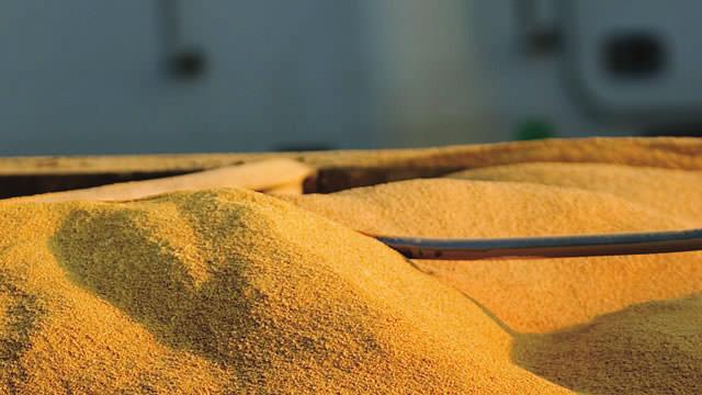 2004 $1,283,823 4,936,572 Soybean Oil (all countries) YEAR VALUE QUANTITY (METRIC TONS) 2013 $913,651 851,990 2012 $1,158,649 954,909 2011 $1,271,829 1,002,918 2010 $1,575,257