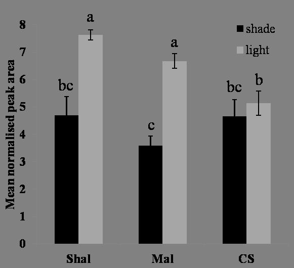 Figure 3.6: Shade effect on linalool abundance in wines made from Cabernet Sauvignon, Malian and Shalistin berries.