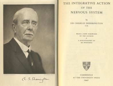 6 C.Sherrington - Nobelio premijos laureatas, vienas iš judesių fiziologijos pradininkų (maketuotojai: C. Sherrington.