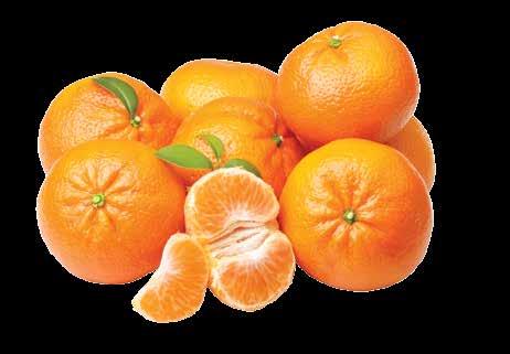 67/kg Chinese Mandarin Oranges Product of China. 2.27 kg Box.