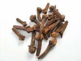 I am Cinnamon. I am the dried bark of a tree that grows in southern India. I am valuable as a spice for flavouring food.