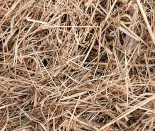 residue is an excellent raw material for the production of cardboard.