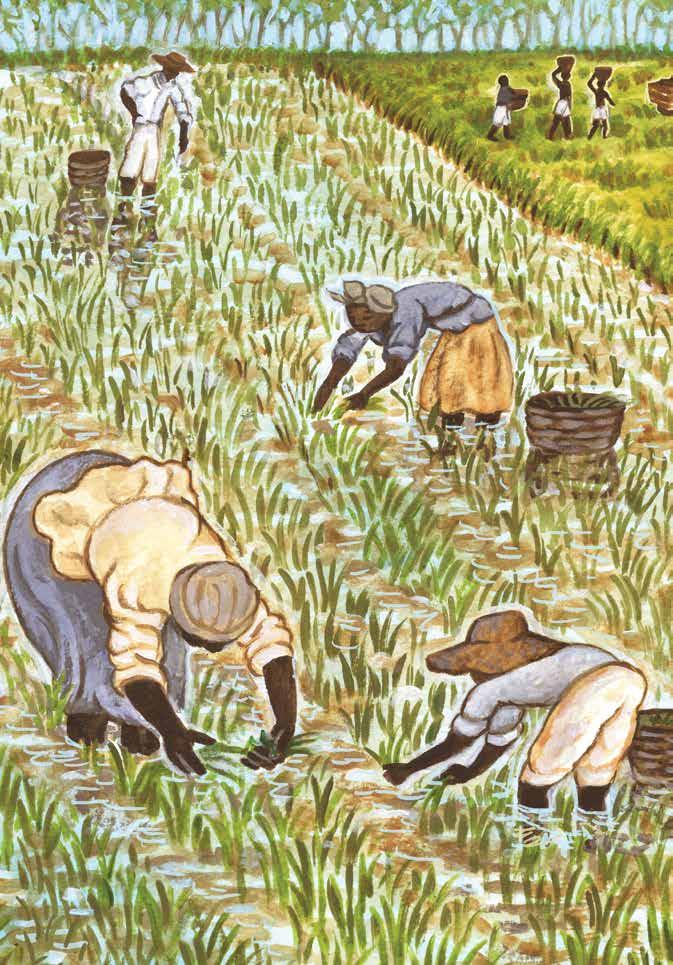 Enslaved people were forced to work