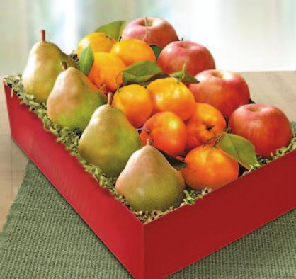 95 Holiday Citrus Duet 6 Royal Navel Oranges, 1.5 lbs. Satsuma Mandarins with Leaves. AB1034.
