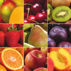 Shipments include premium quality fruit, a gift announcement detailing contents and delivery months with your personal message, fruit facts, ripening instructions and recipes.
