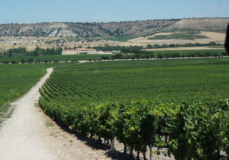 We will visit three top-rated wineries, and then at the UNESCO World Heritage caves of Atapuerca,