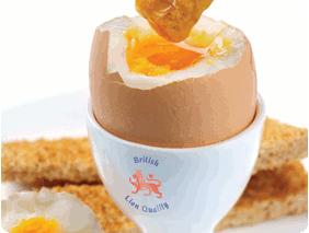 As well as Standard Eggs we also stock Free Range, Organic, Duck and Quails Eggs. They all come with the highest certification and are mainly sourced from Dorset, Somerset and the West Country.