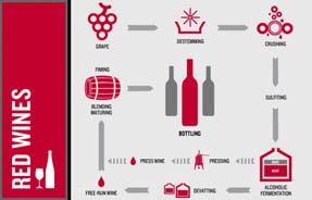 Although both red and white wine contain polyphenols, red wine contains higher levels of polyphenols because it is made using the entire grape -- skin and seeds included -- while white wine is made