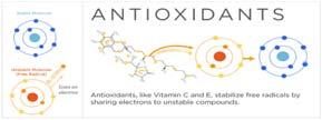 There are hundreds, probably thousands, of different substances that can act as antioxidants.