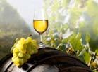 Effect of Wine on Bone Maturitas 2015 Vol 80 (1):3-13 Cancer Antioxidant compounds in wine may reduce the risk of lung, ovarian and prostate cancer Resveratrol, decrease estrogen metabolites which