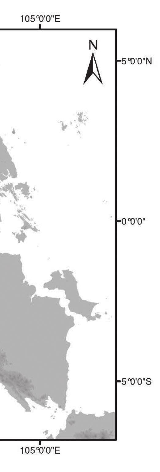 Typus: Indonesia, Sumatra, West Sumatra (Sumatra Barat), Batang Pangean Nature Reserve, Sawah Lunto District, Nagari Solok Ambah, Perkaulan cave, 00º 43 21.7 S, 101º 09 01.0 E, 484 m, 21viii2009, A.