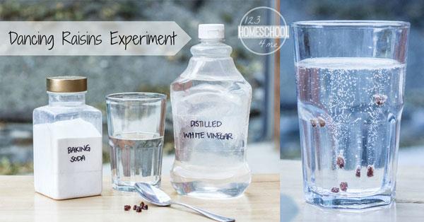 Dancing Raisins Science Experiment Raisins are a healthy dried fruit snack for children! Try this fun raisin science experiment to impress kids and demonstrate some basic chemical reaction concepts!